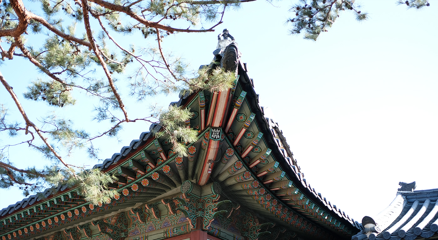 BLOG3